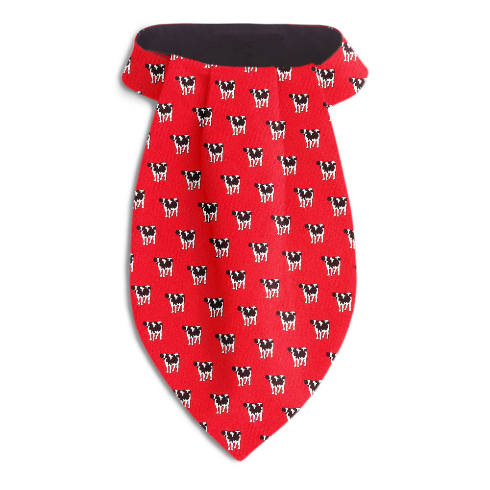 Middlebury Red Ascots