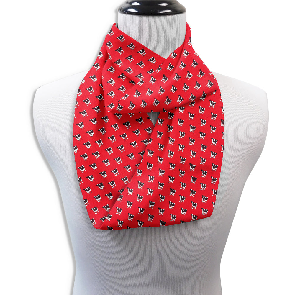 Middlebury Red Infinity Scarves