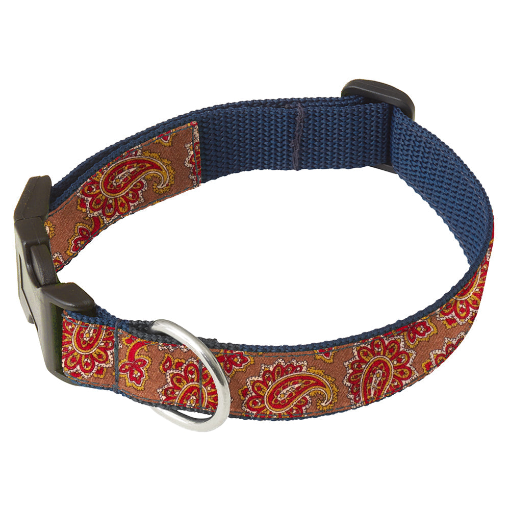 Misenum Dog Collar