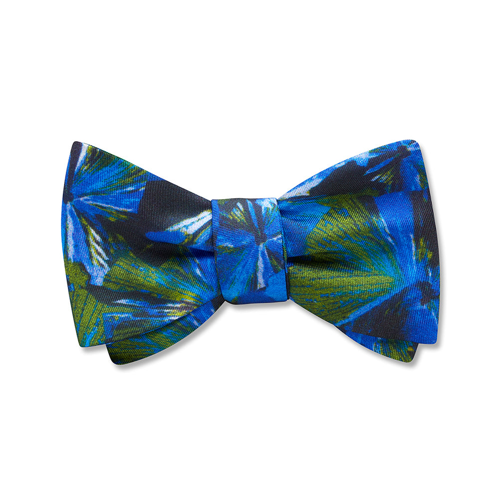 Morning Glory Kids' Bow Ties