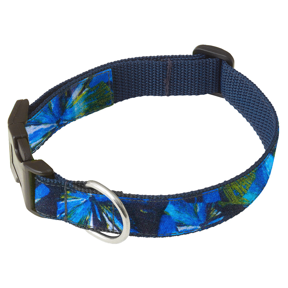 Morning Glory Dog Collar