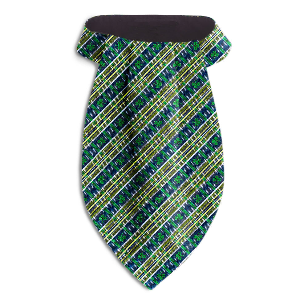 Padraic Ascots