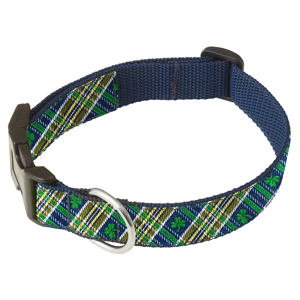 Padraic Dog Collar