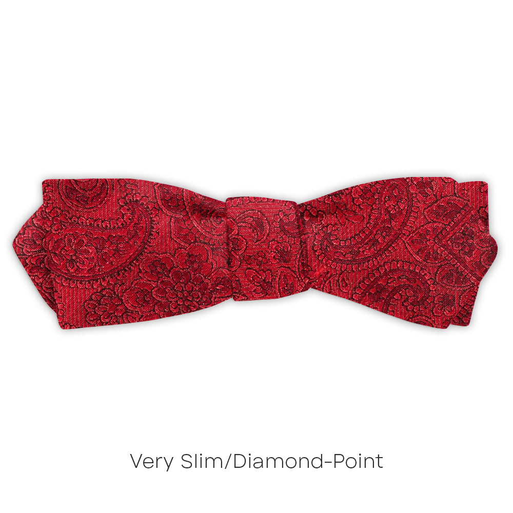 Pembroke Persimmon - bow ties
