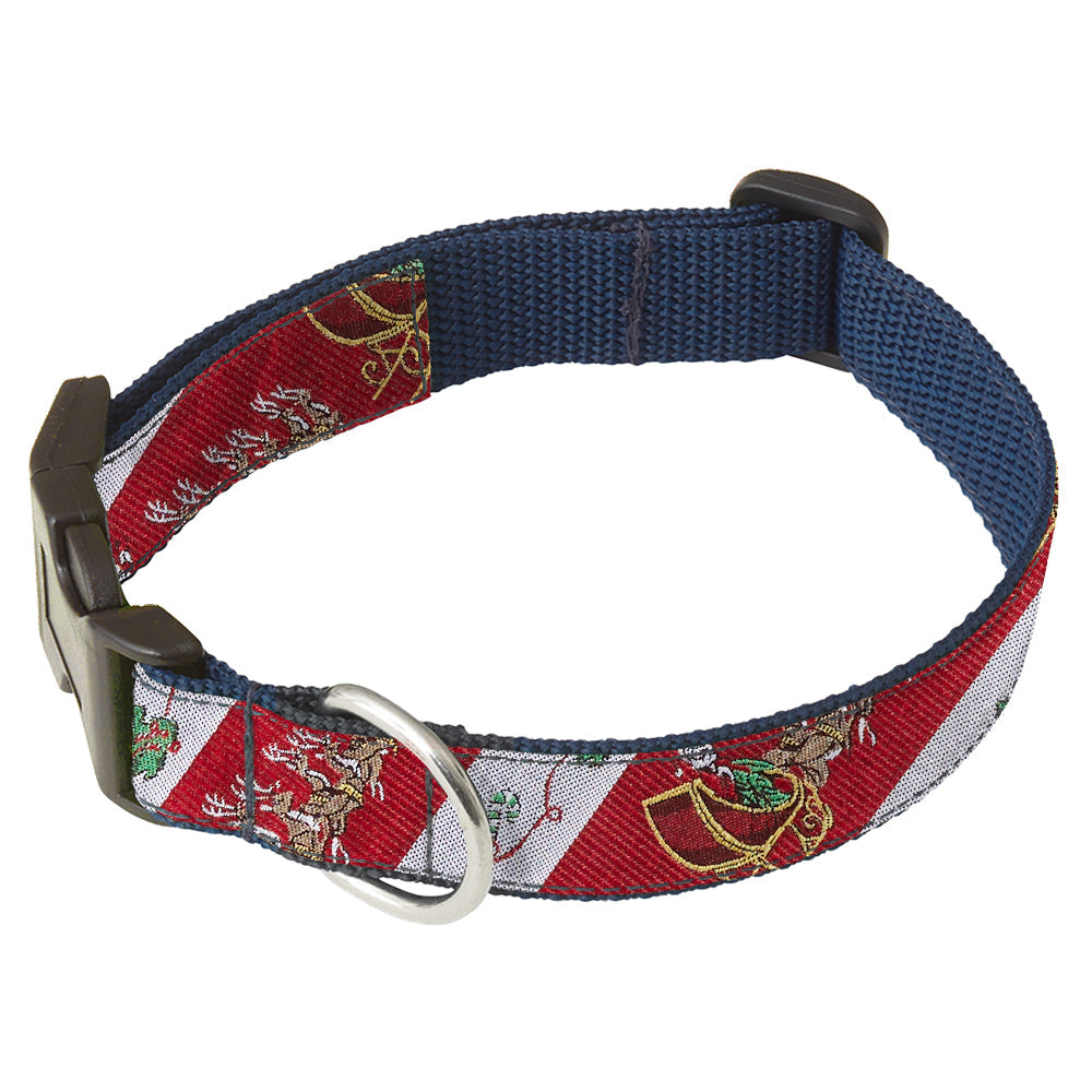 Polar Expedition Dog Collar