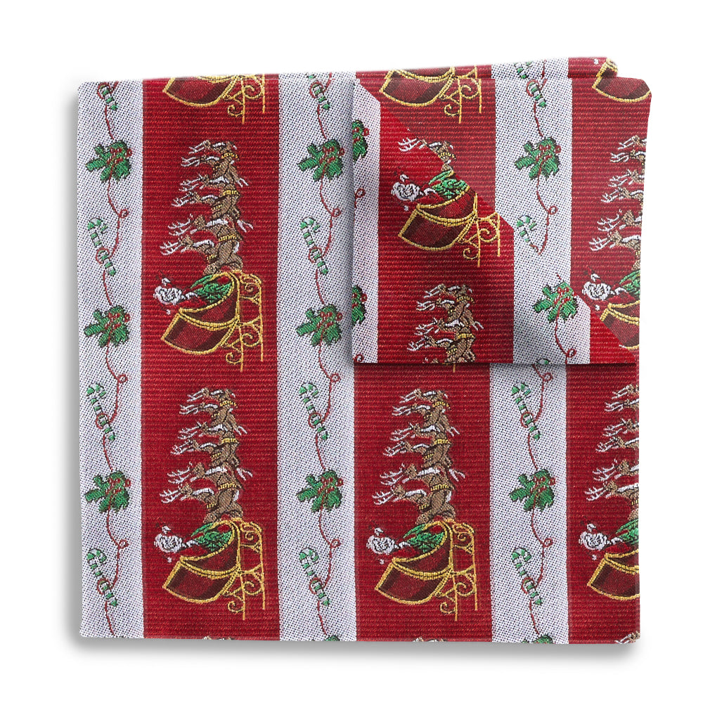 Polar Expedition - Pocket Squares