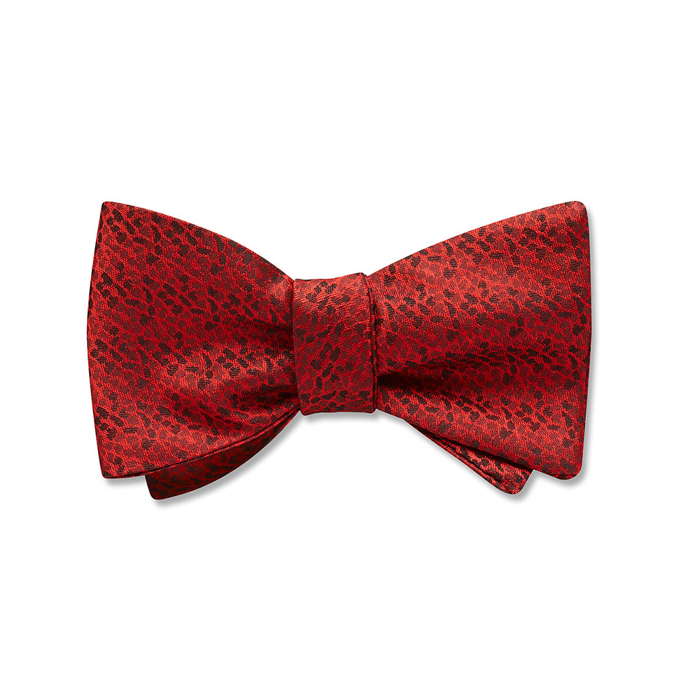 Panthara - Kids' Bow Ties
