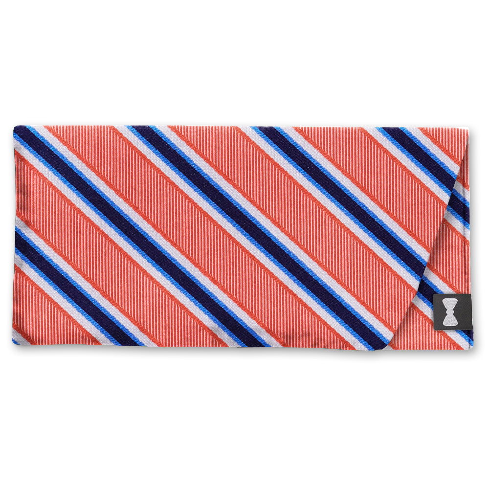 Peachtree River Eyeglass Cases