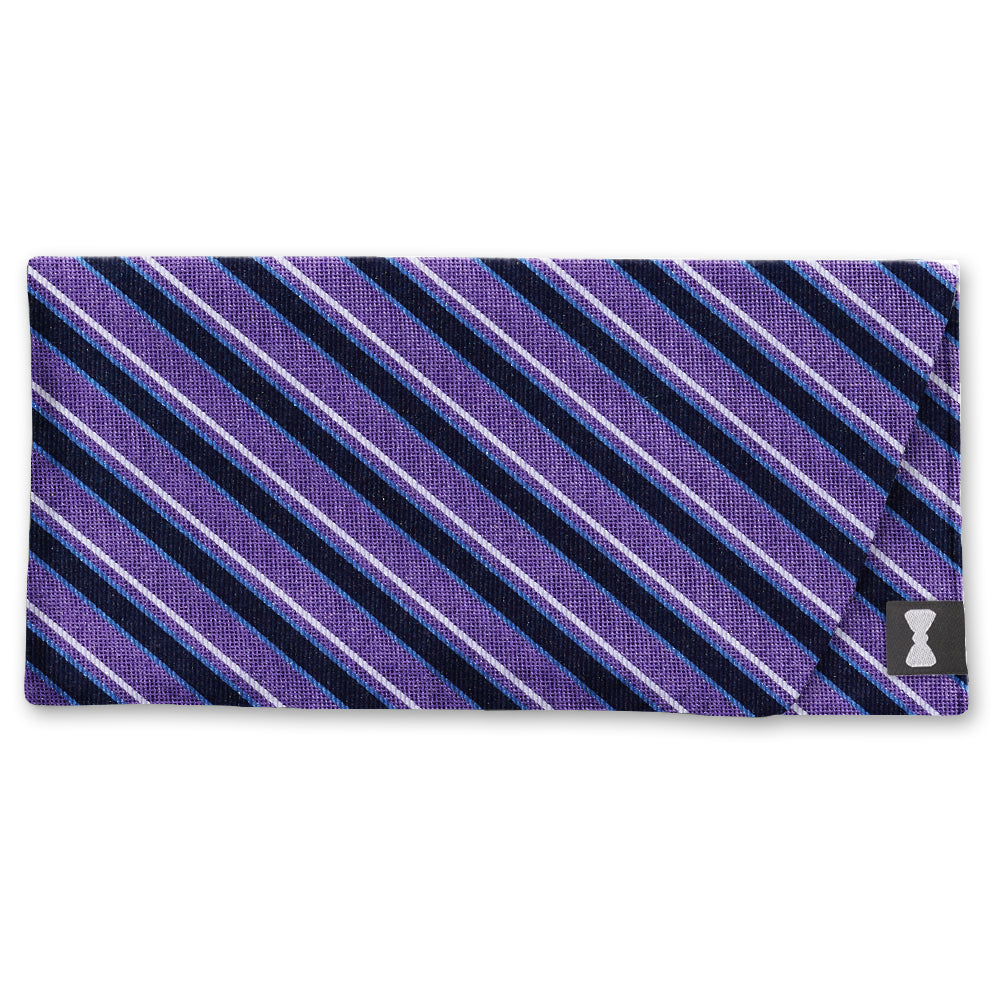 Queensway Eyeglass Cases