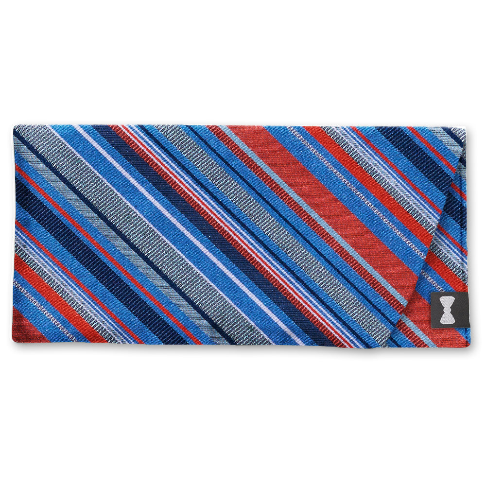 Reef River Eyeglass Cases