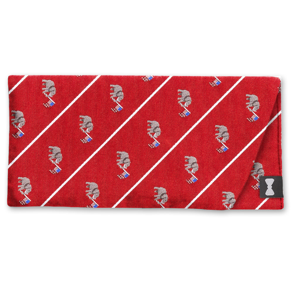 Republican Red Eyeglass Cases
