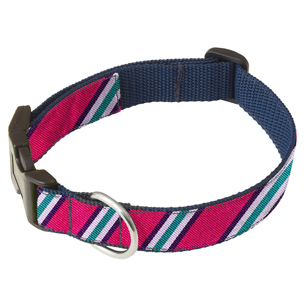RiverPink Dog Collar