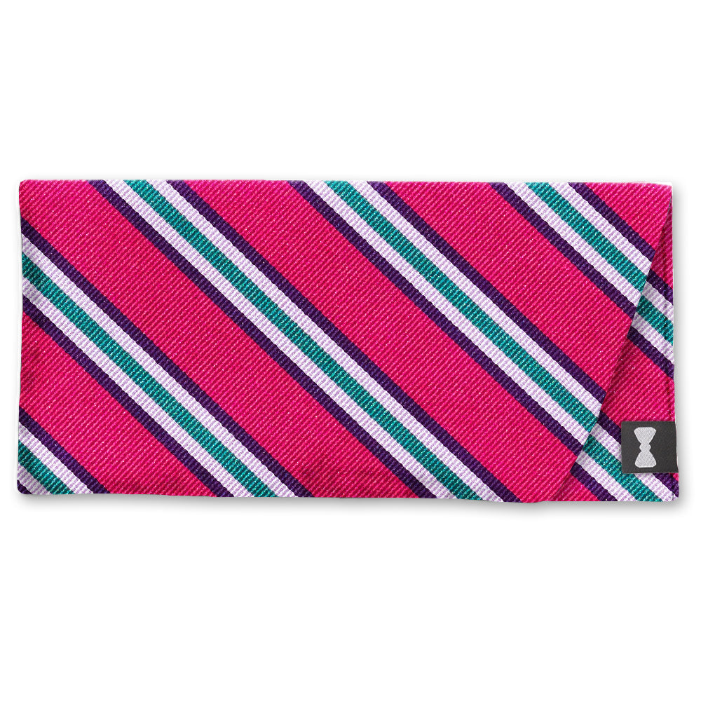 RiverPink Eyeglass Cases