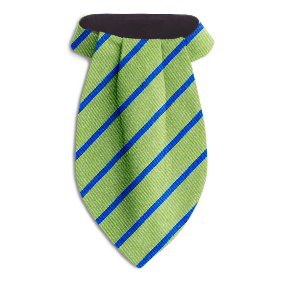Rockbrook Ascots