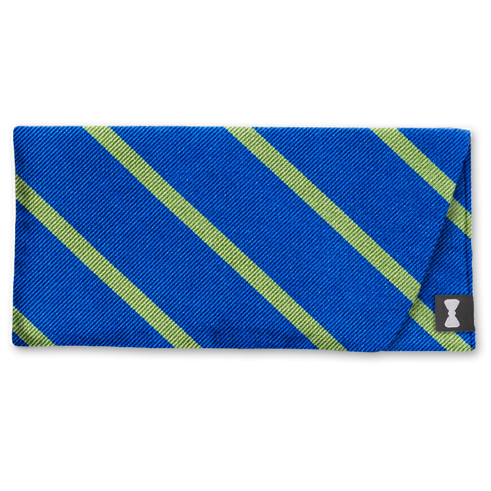River Liffey Eyeglass Cases