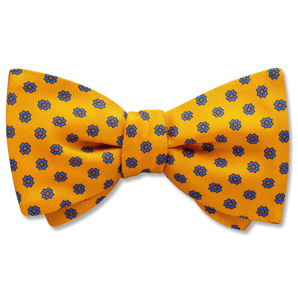 Solidago bow ties