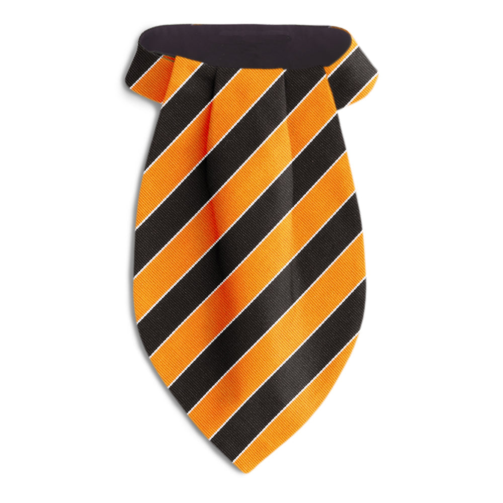 Scholastic Orange/Black Ascots
