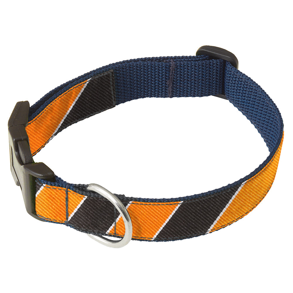 Scholastic Orange/Black Dog Collar