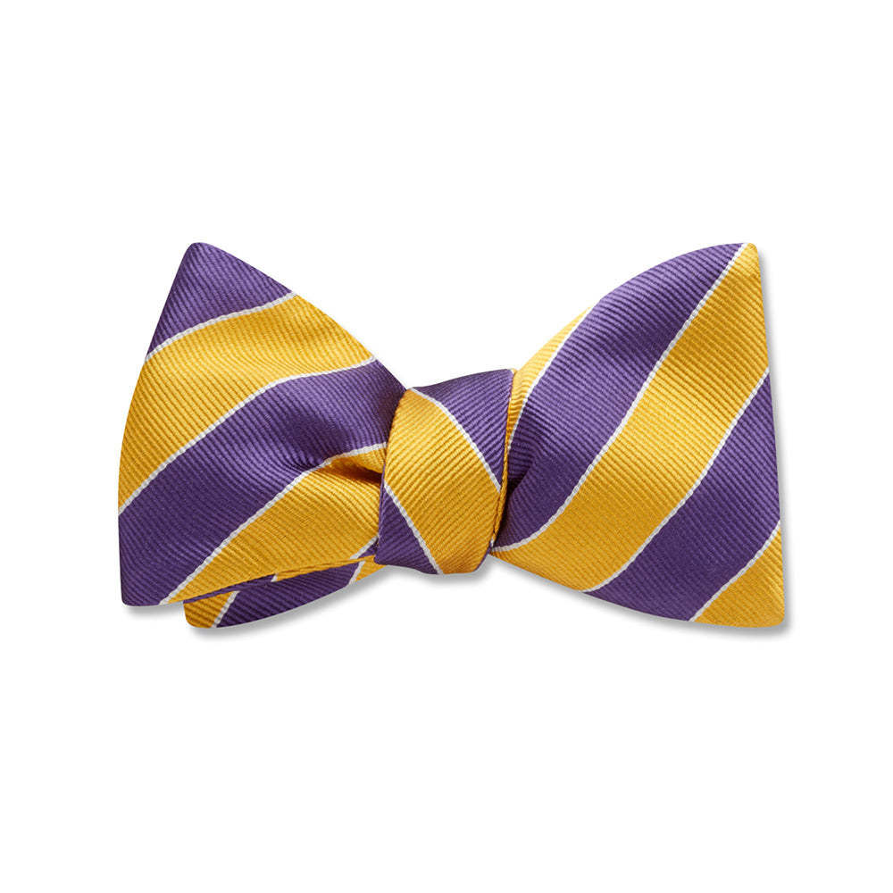 Scholastic Purple/Gold Kids' Bow Ties