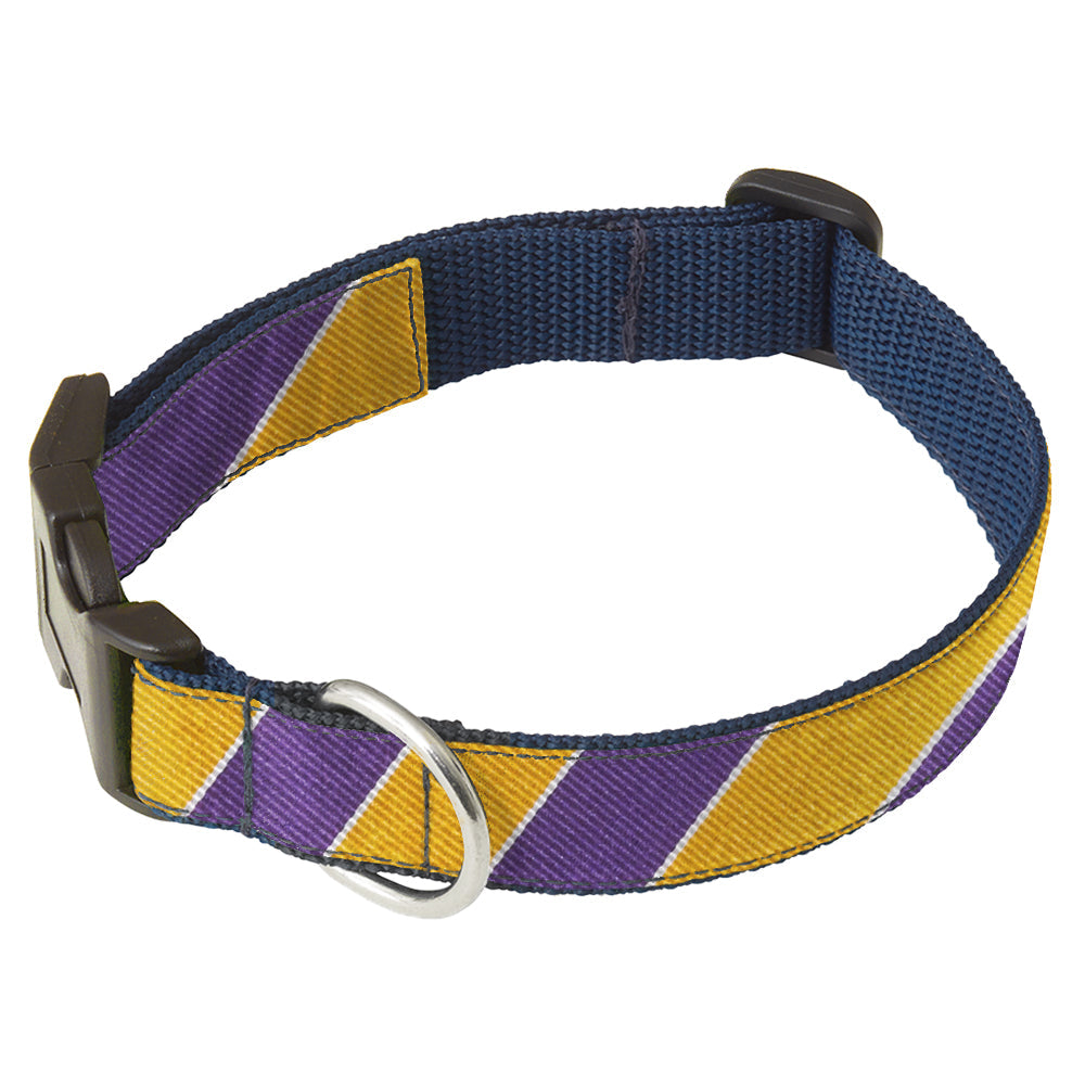 Scholastic Purple/Gold Dog Collar