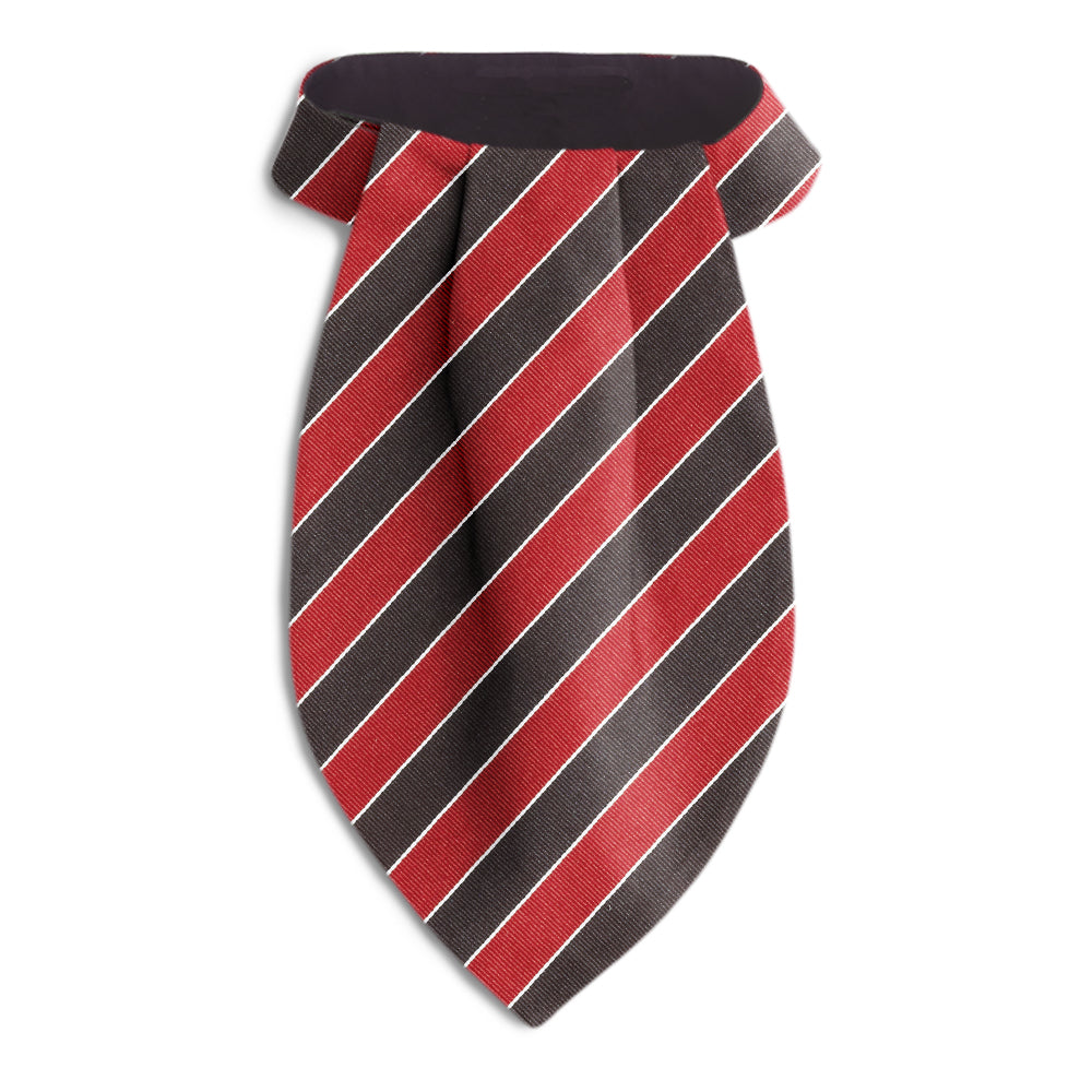 Scholastic Red/Black Ascots