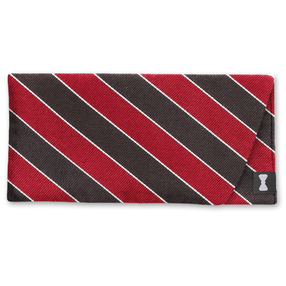 Scholastic Red/Black - Eyeglass Cases