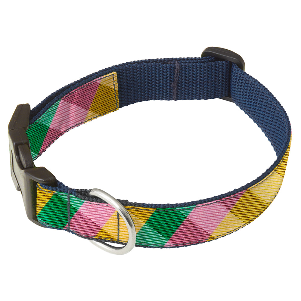 Summersby Dog Collar