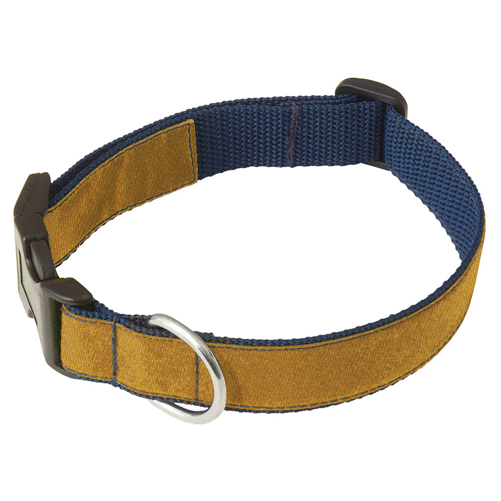 Somerville Gold Dog Collar