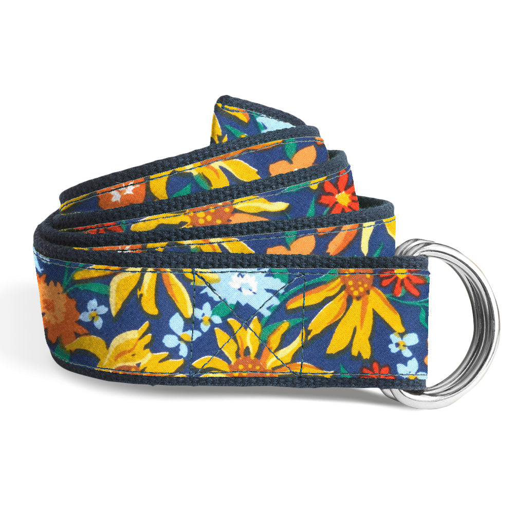 Spring Fling D-Ring Belts