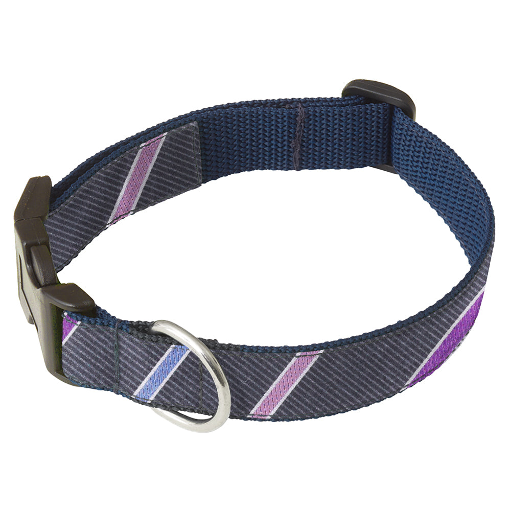 Silver Queen Trail Dog Collar