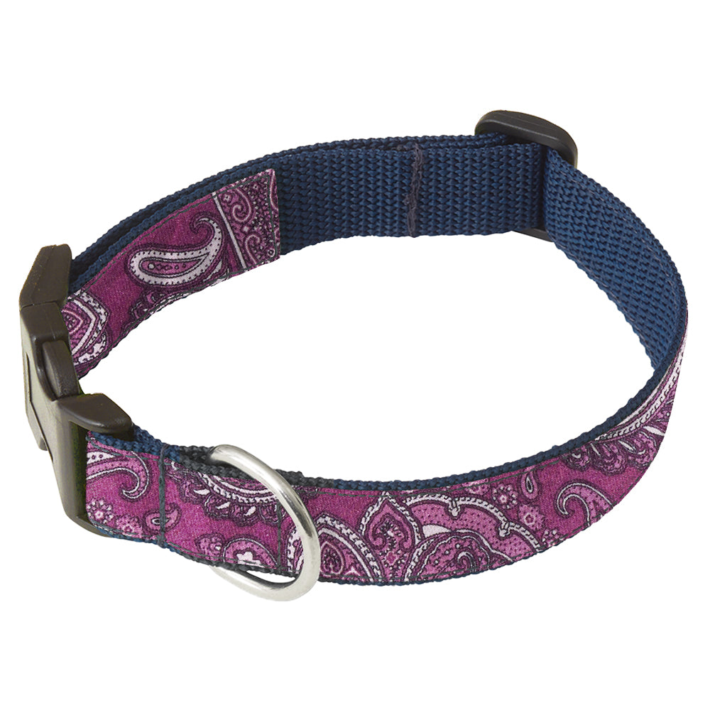 Susina Cove Dog Collar