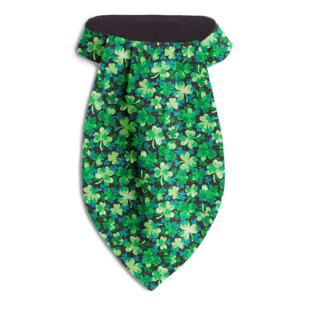 Trefoil Ascots