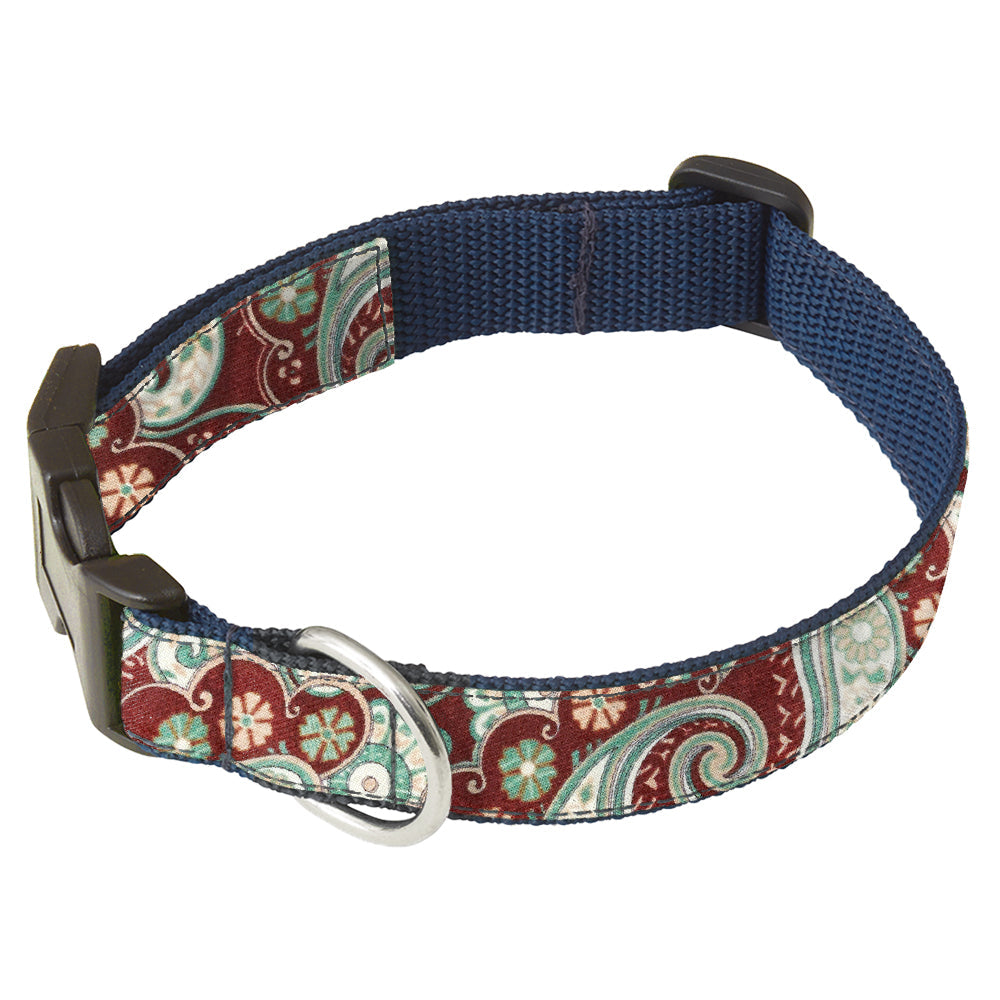 Veneto Dog Collar