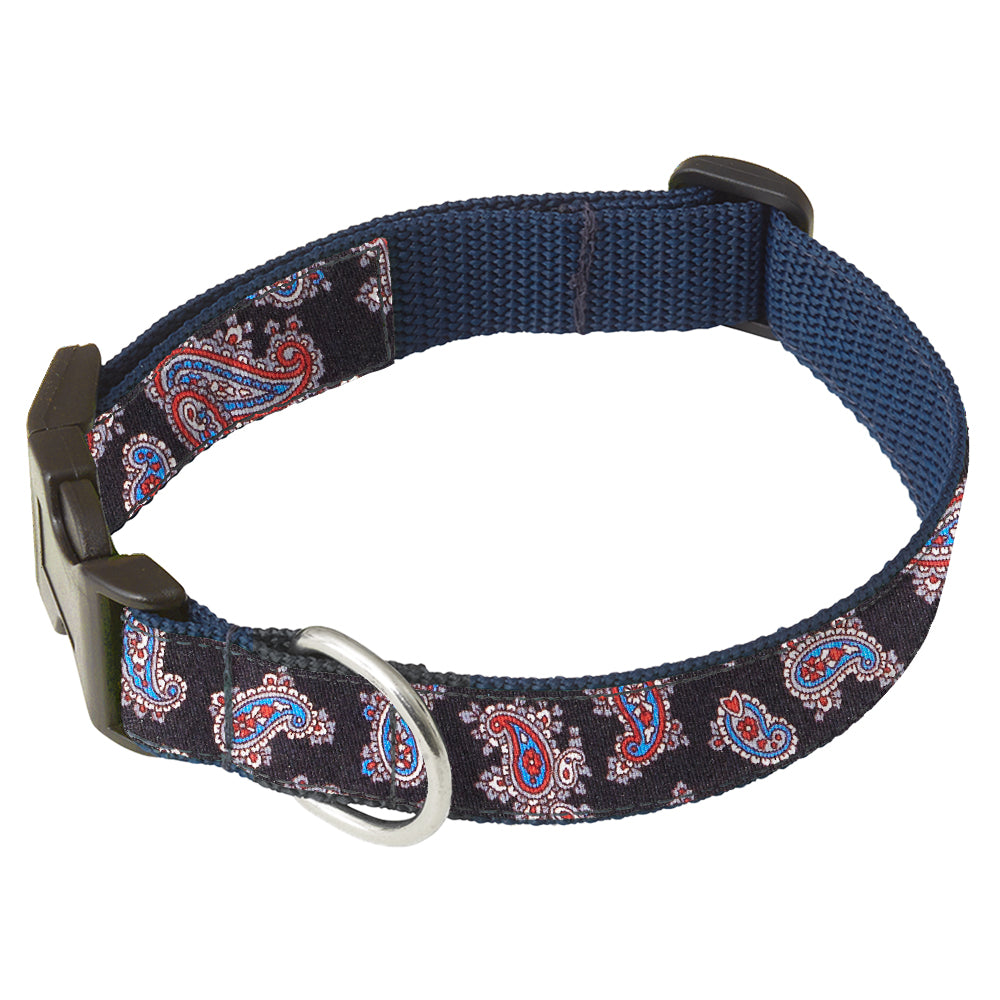 Velletri Dog Collar