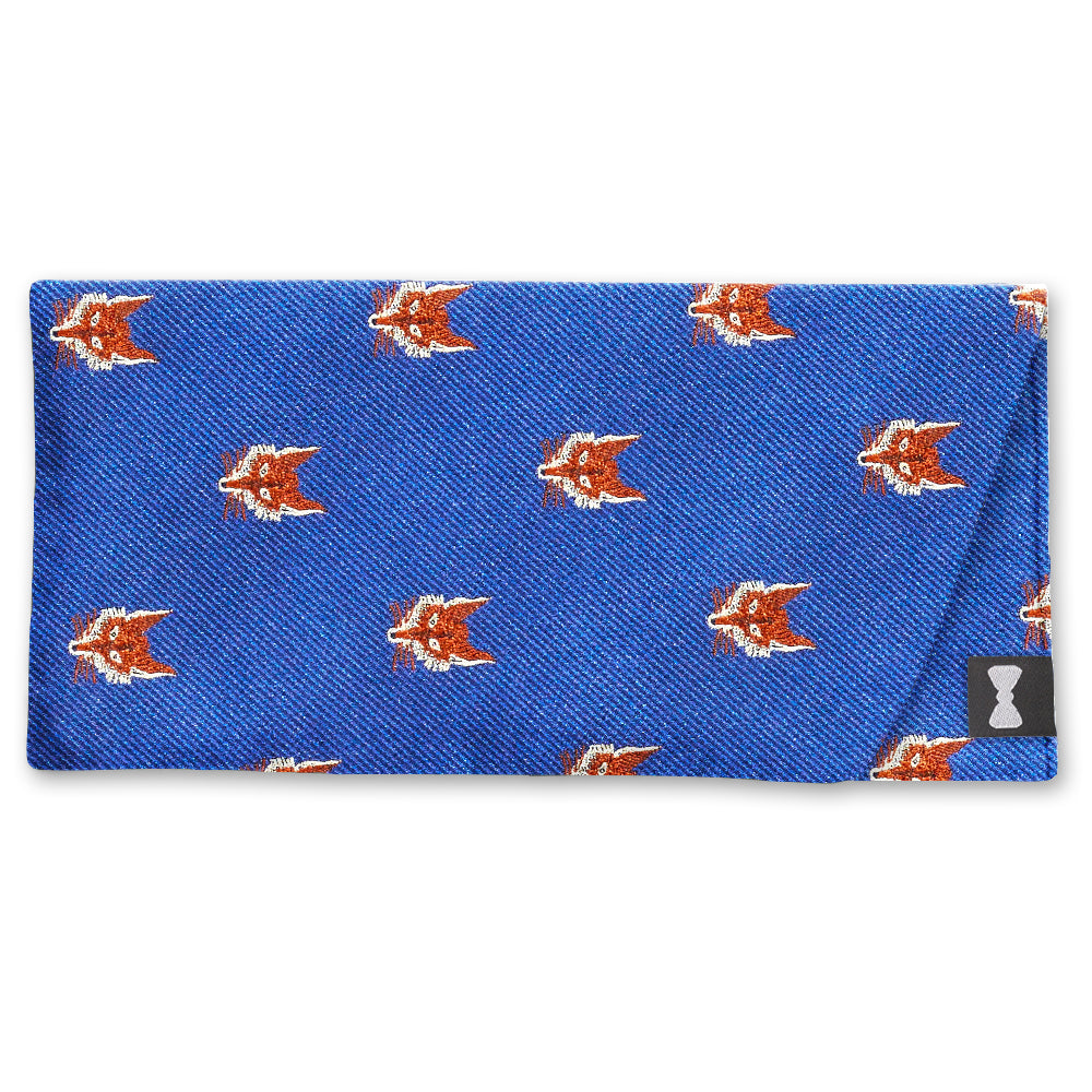 Vulpini Eyeglass Cases