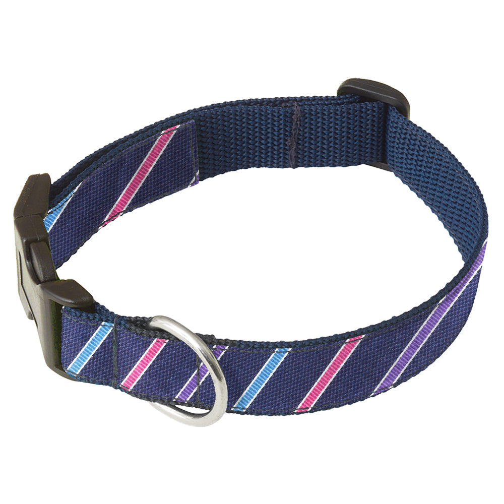 Winter Night Trail Dog Collar