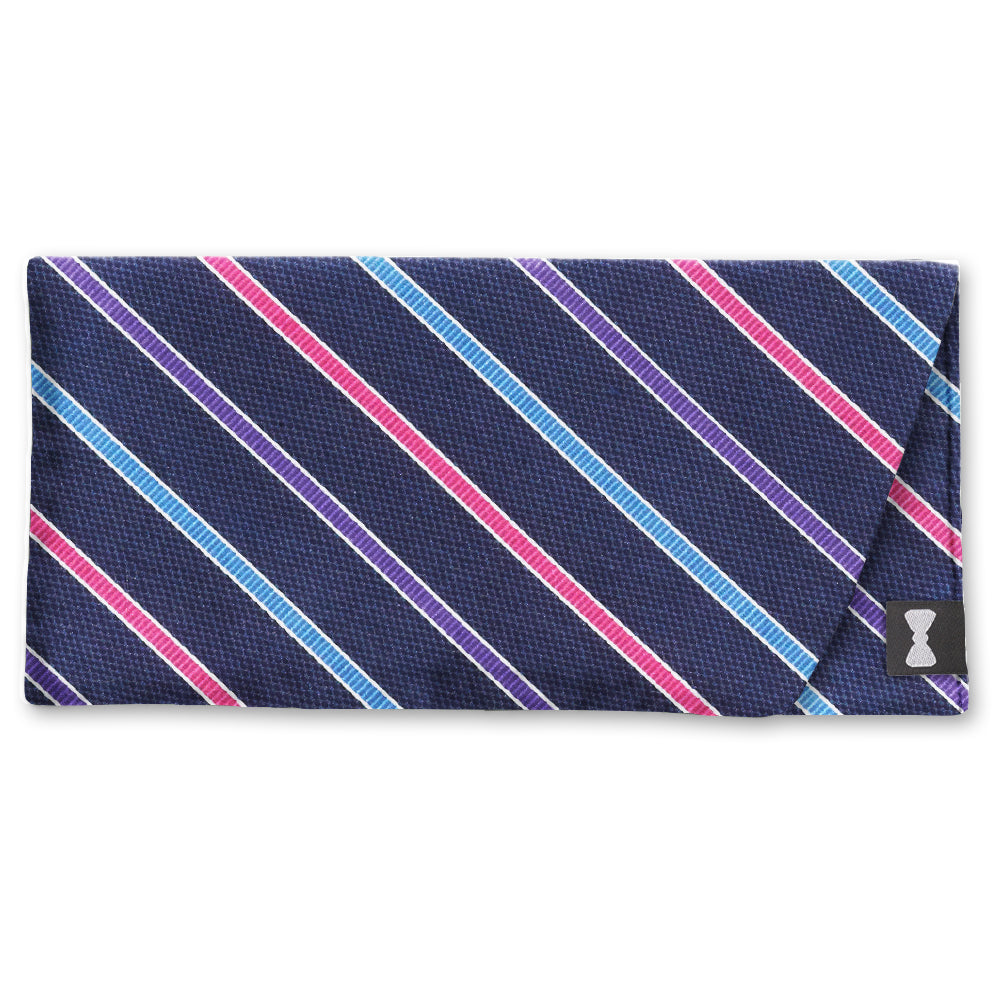 Winter Night Trail Eyeglass Cases