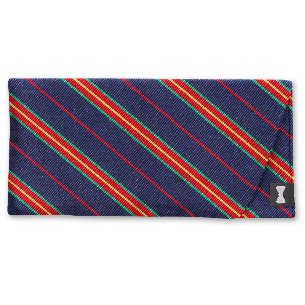Winter River Eyeglass Cases