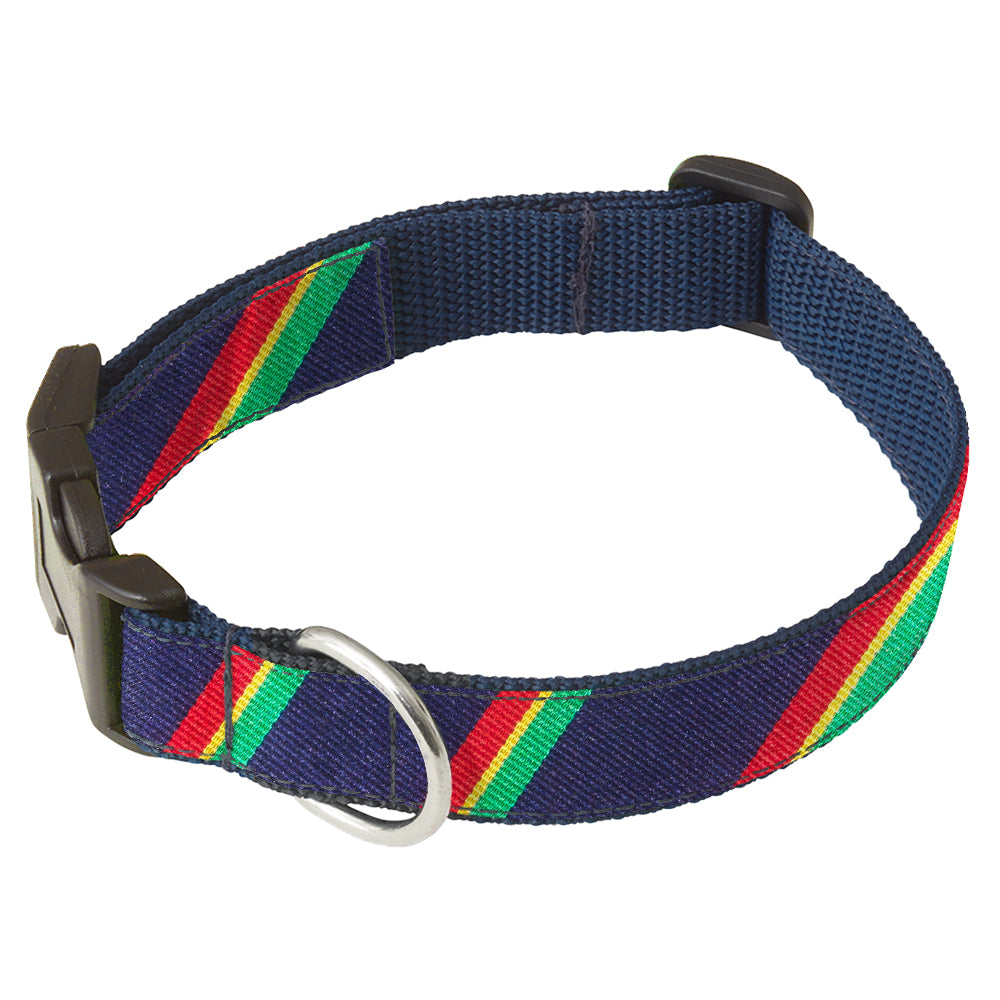 Wainwright - Dog Collar