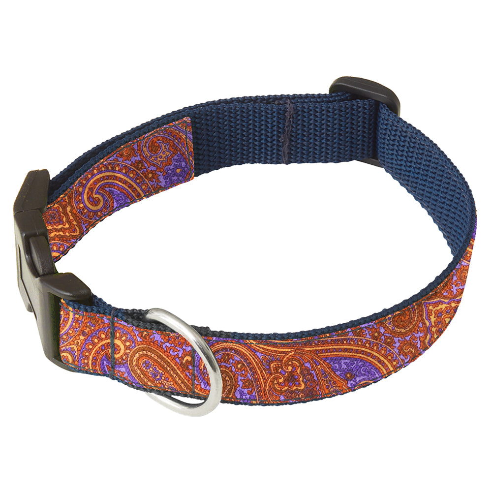 Zingaro Dog Collar