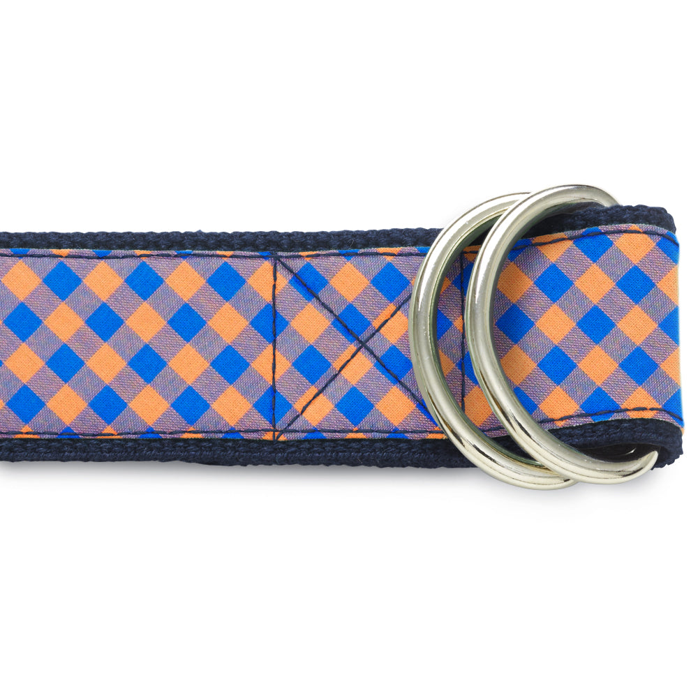 Checkerboard Butte - D-Ring Belts