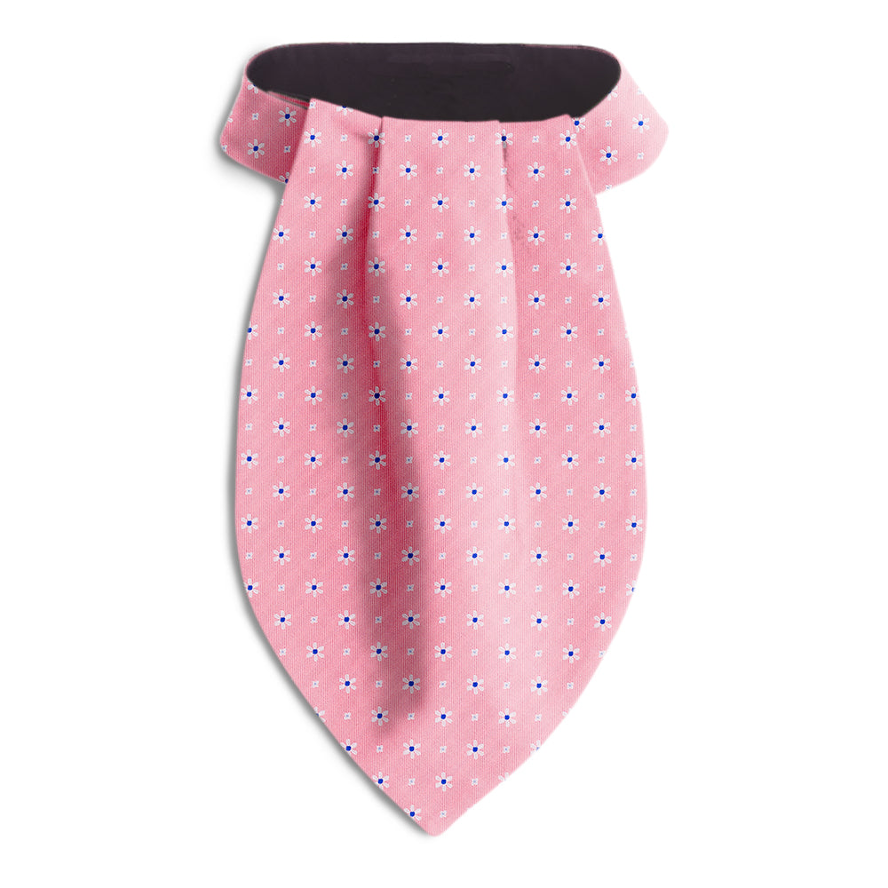 Daisy Springs Pink Ascots