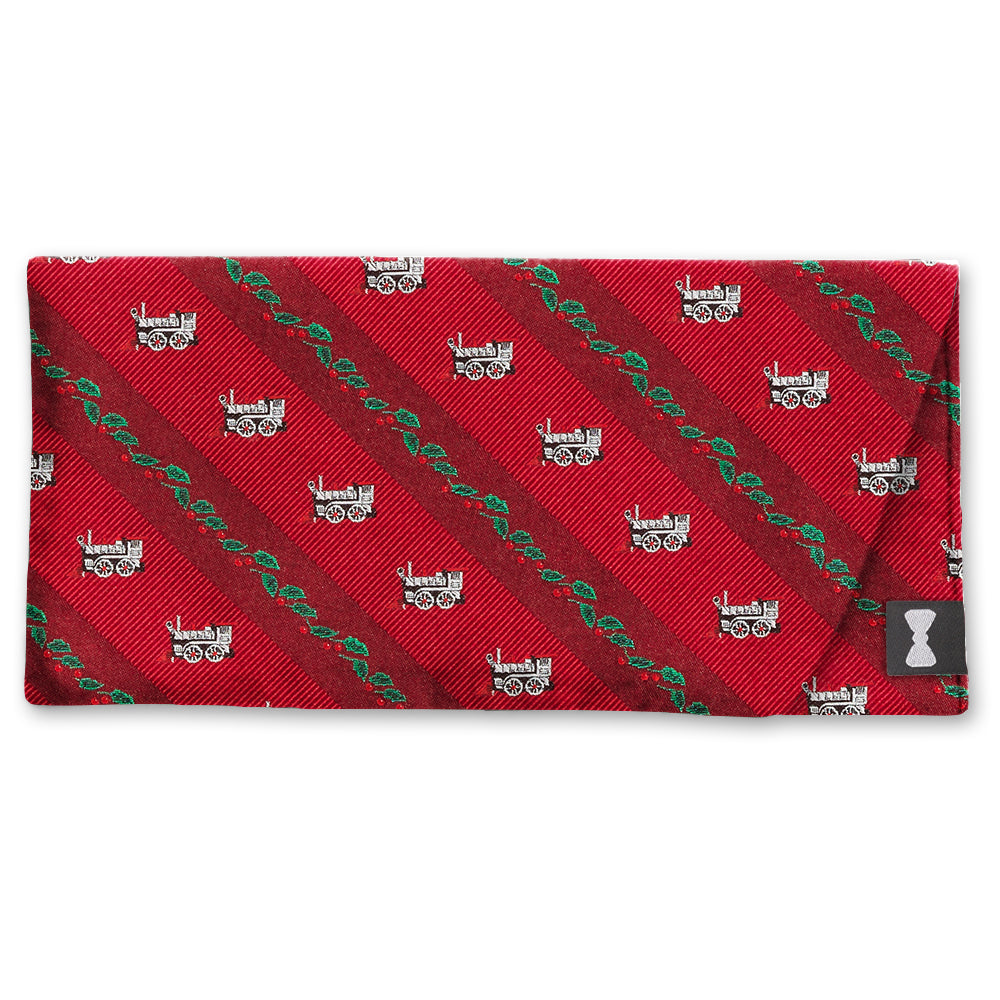 Holly Station Red - Eyeglass Cases