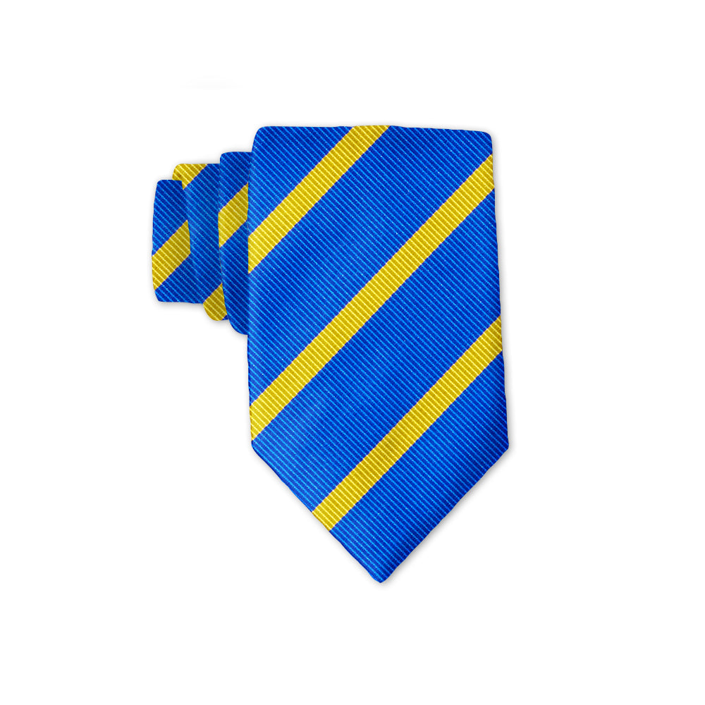 Kyiv Kids' Neckties