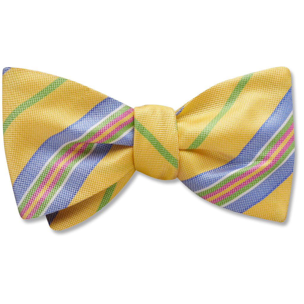 Maici Pet Bow Ties