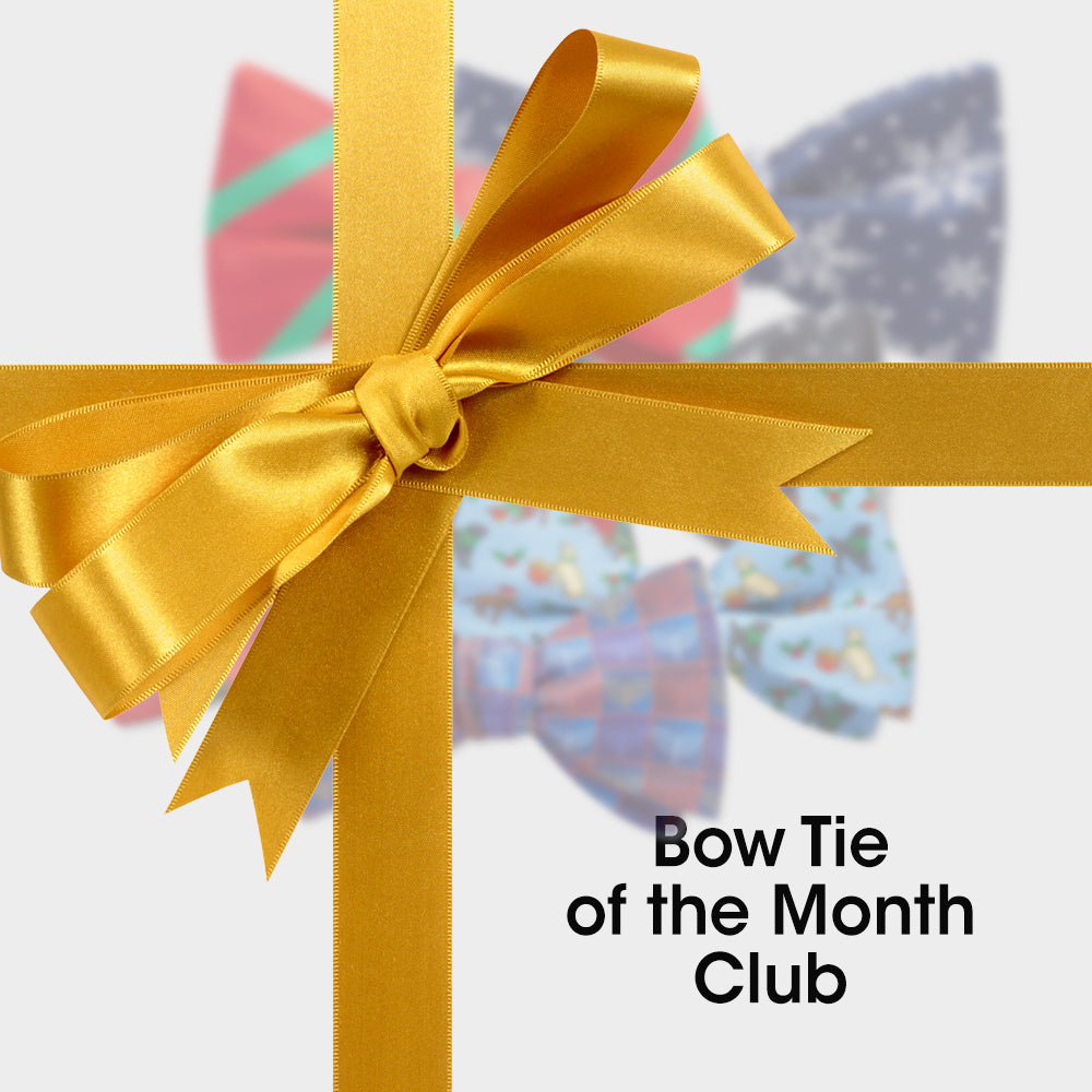 Bow Tie of the Month Club (6 months)