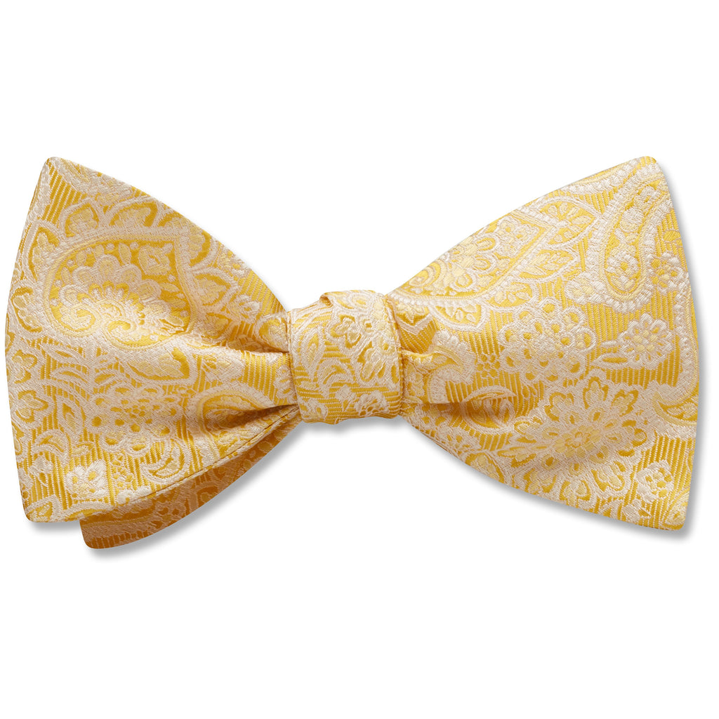 Pembroke Canary - bow ties