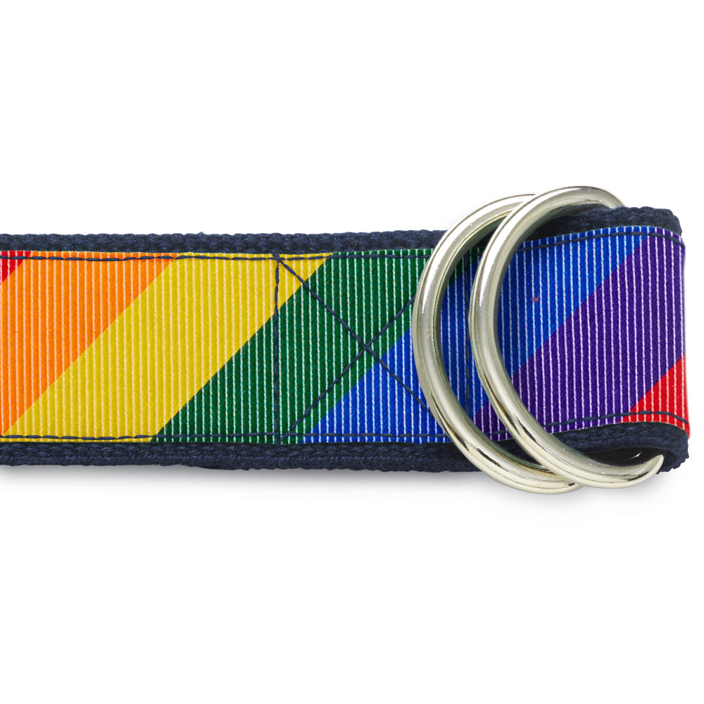 Pride Lane D-Ring Belts
