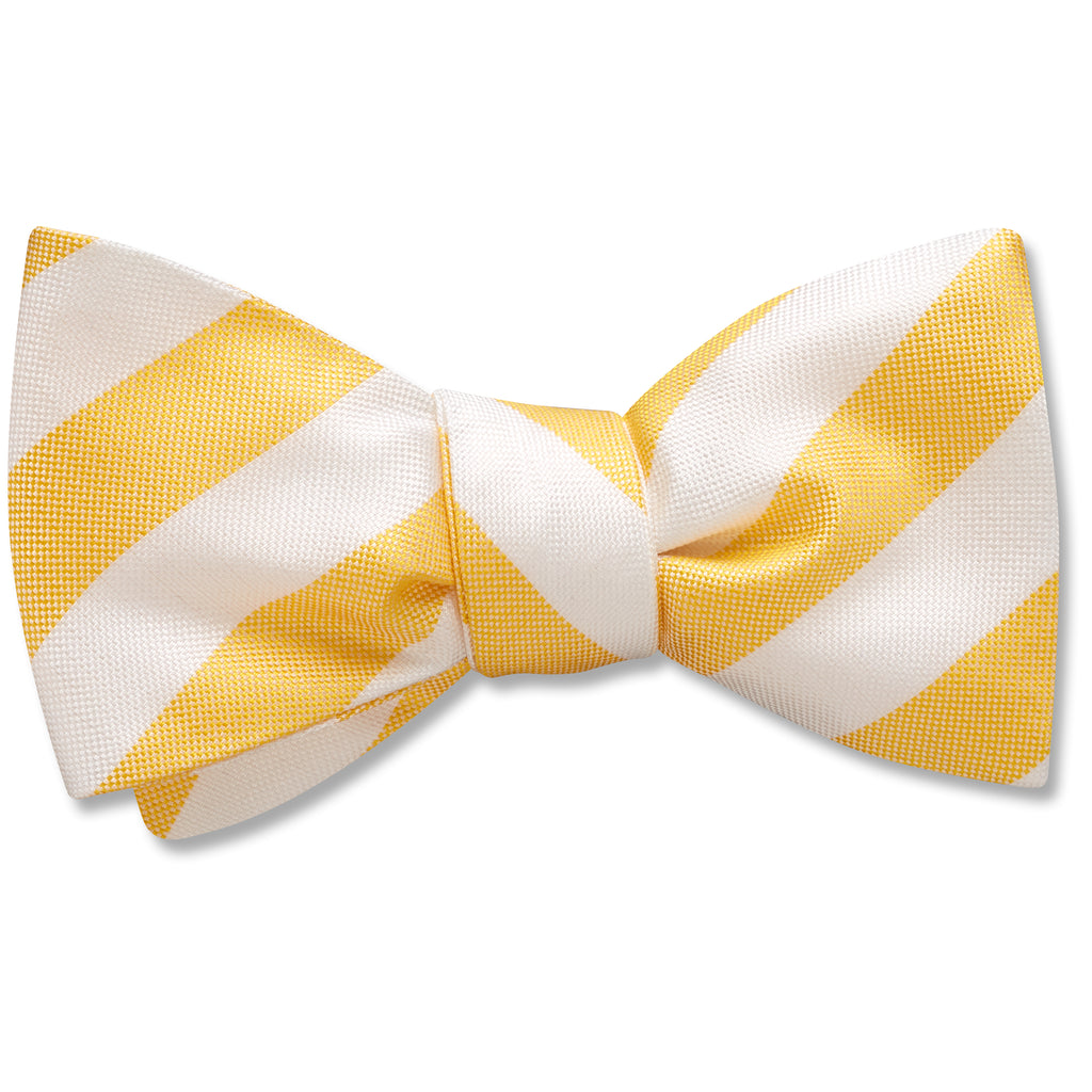 Sunnybrook bow ties